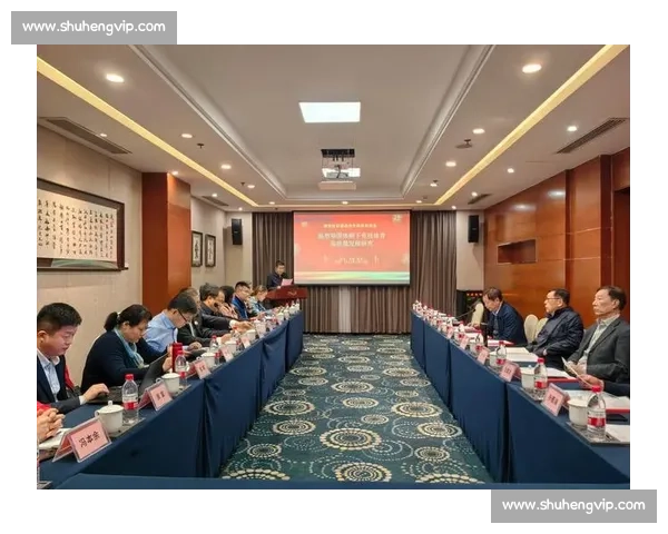 基于现代竞技发展视角下多层级体育比赛制度创新与协同治理研究 基于现代竞技发展视角下多层级体育比赛制度创新与协同治理研究