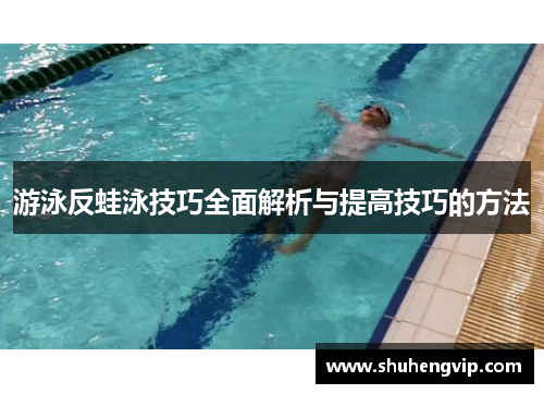 游泳反蛙泳技巧全面解析与提高技巧的方法