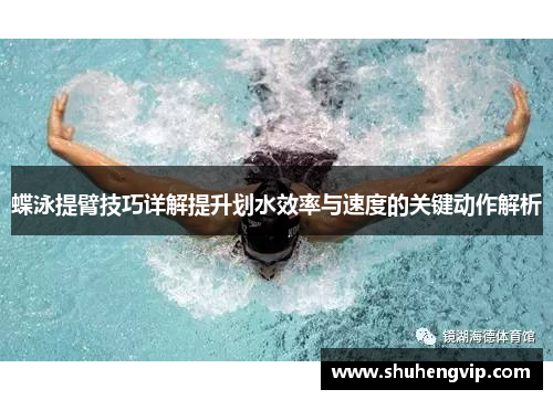 蝶泳提臂技巧详解提升划水效率与速度的关键动作解析