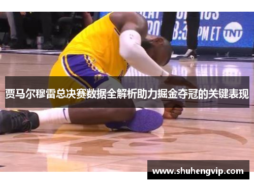 贾马尔穆雷总决赛数据全解析助力掘金夺冠的关键表现